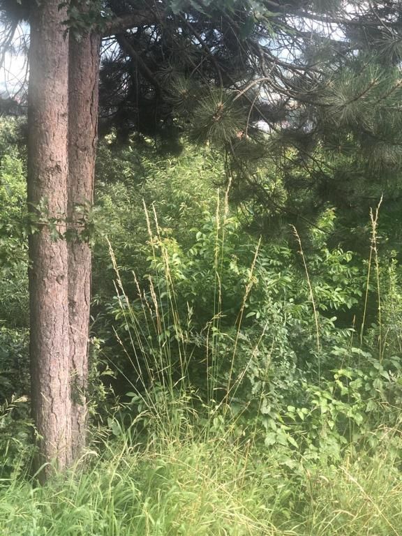 Дома для отпуска Sobe Dašić Pepiće