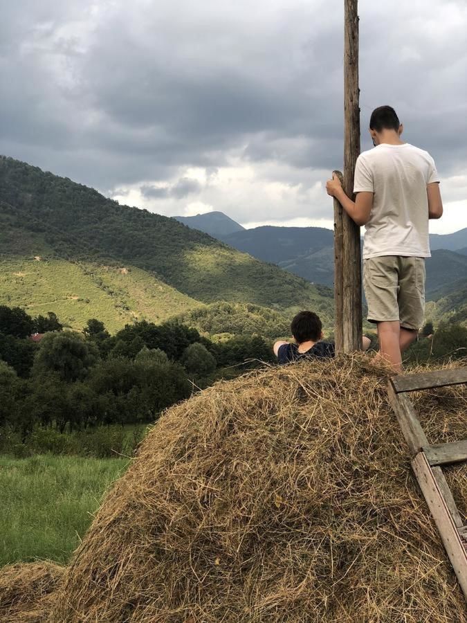 Дома для отпуска Sobe Dašić Pepiće