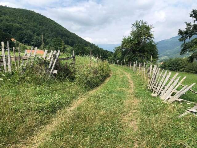 Дома для отпуска Sobe Dašić Pepiće-31