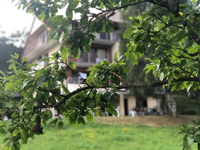 Дома для отпуска Sobe Dašić Pepiće-35